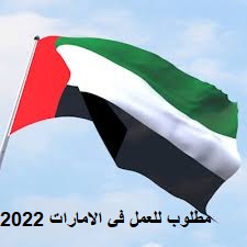 مطلوب للعمل في الإمارات 2022 وظائف شاغرة للوافيدين