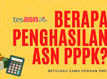  2 Penghasilan Utama ASN PPPK, Gaji dan Tunjangan