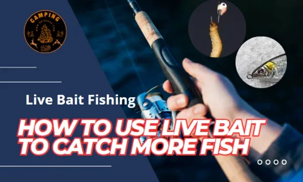 How to Use Live Bait to Catch More Fish