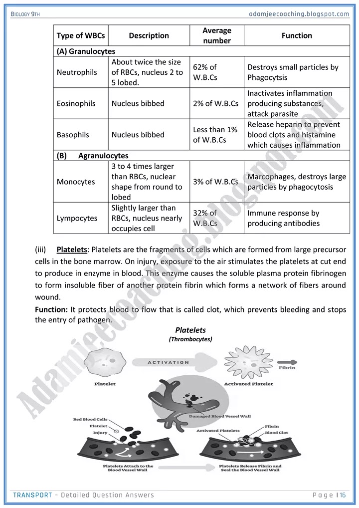 transport-detailed-question-answers-biology-9th