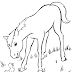 realistic horse coloring pages to download and print for free - free horse coloring pages