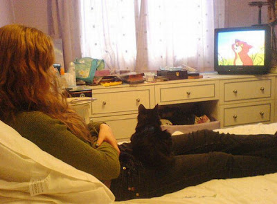 Pets watching TV Seen On www.coolpicturegallery.us