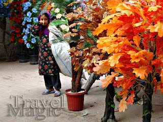 pakistan-girl-street-life-lahore