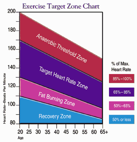 Fit-tastic!: beginner's guide to losing weight: cardio at the gym