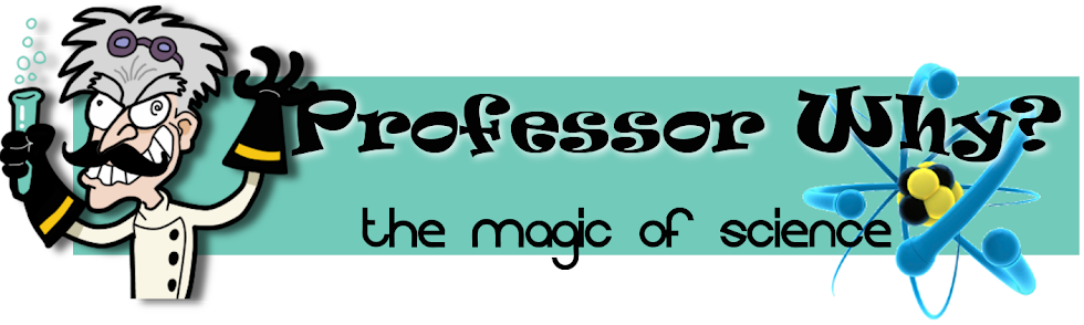 Professor Why's world of curiosity