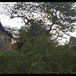 View album