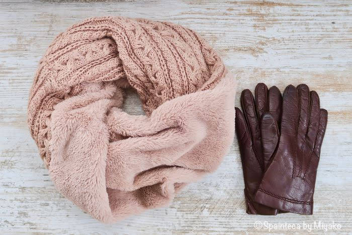 寒いときの観光に必需品なマフラーと手袋