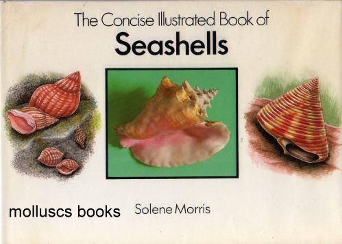 The Concise Illustrated Book Of Seashells Molluscs