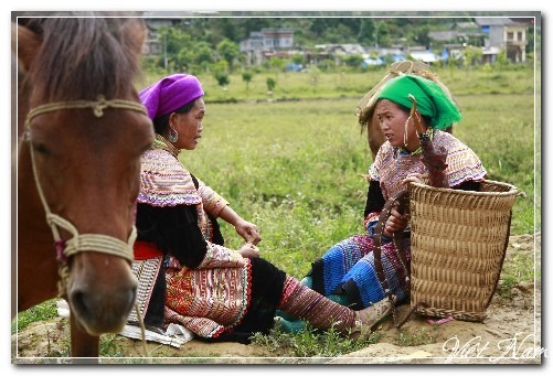 Tây Bắc ngày gặt