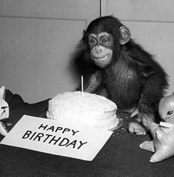Happy Birthday Funny. funny happy birthday monkey.