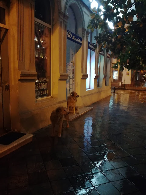 Gamardzioba, czyli nie tylko chinkali życie płynie, a mogłoby 