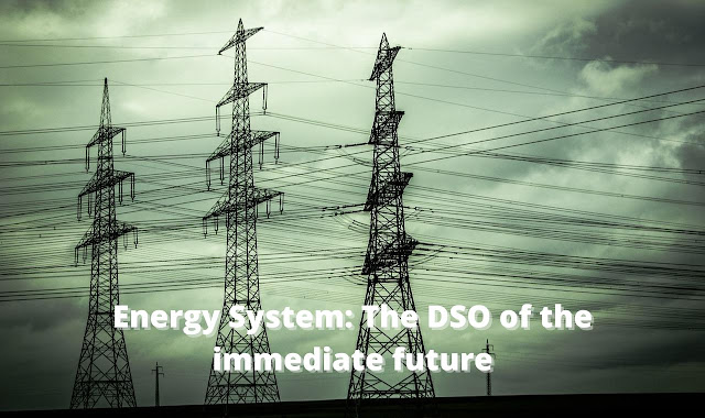 Energy System: The DSO of the immediate future