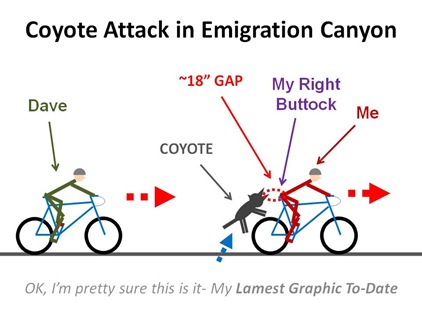 CoyAttack2