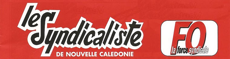 Le syndicaliste