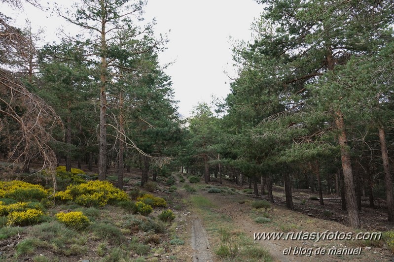 Almirez - La Cumbre - Cruz del Pescadero - Piedra Horadada - Tajo de la Querencia - Tajo de la Cruz