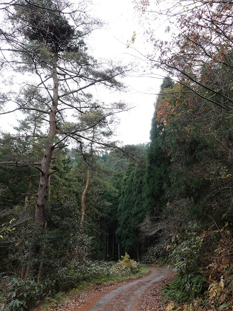 赤松池の脇道を降ります