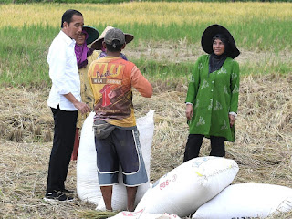 Presiden Jokowi Berhenti di Tengah Perjalanan, Temukan Masalah Harga Gabah dan Pupuk dari Para Petani