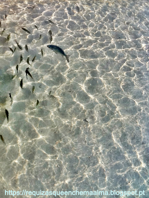 Águas cristalinas