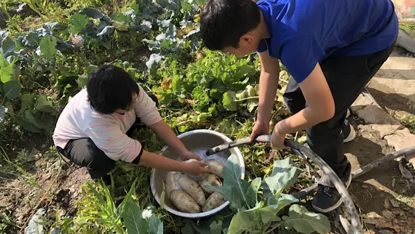 香田國小學生手作菜頭粿 迎接新年好彩頭