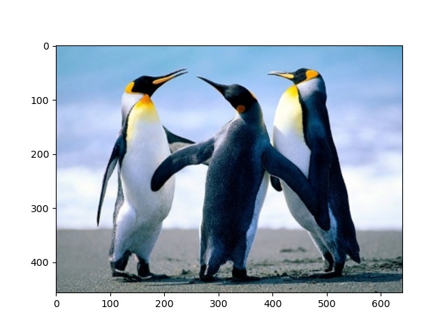 Cropped image (Penguins.jpg) with min height and width
