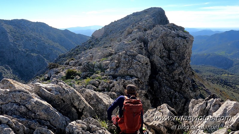 Caillo - Cintillo desde Benaocaz