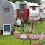 red dale travel trailer