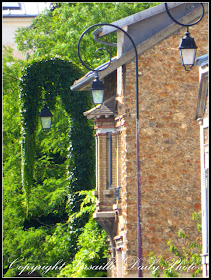 Vine covered street lamp Versailles