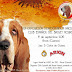 XX Monográfica Nacional Club Español del Basset Hound