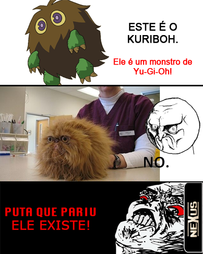 kuriboh
