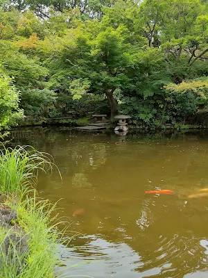 ホテルニューオータニの日本庭園の池の鯉