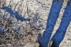 Bear River Migratory Bird Refuge