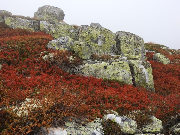 sørbølfjellet