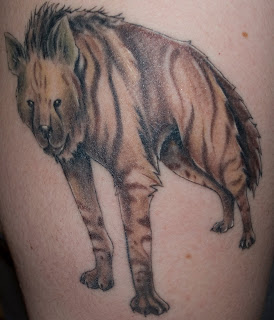 hyena tattoo