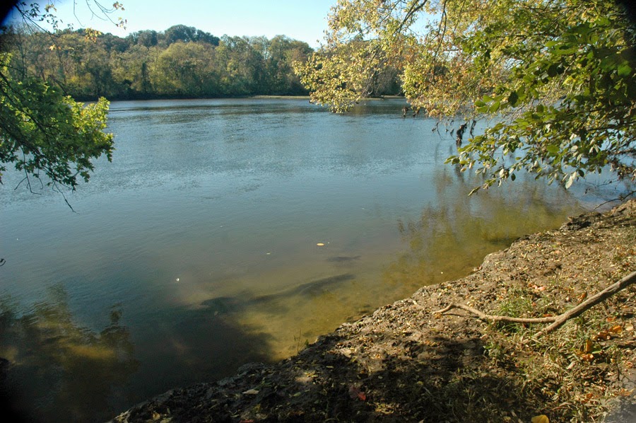 2. French Broad River, Seven Islands Wildlife Refuge