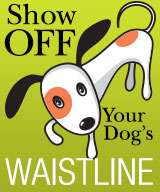 Show Off Your Dog's Waistline
