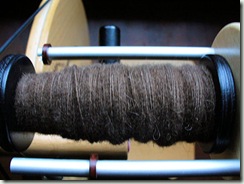 BisonYarnSpin