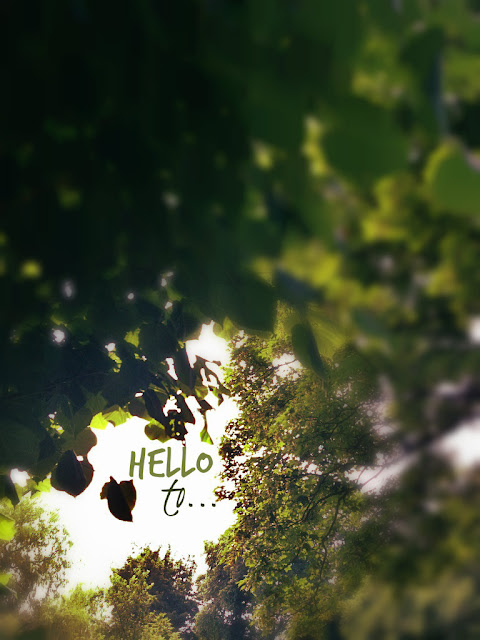 Hello to...