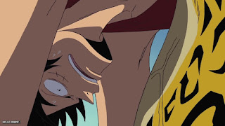 ワンピース アニメ 総集編 麦わらの一味とCP サイファーポール ONE PIECE Straw Hats vs. Cipher Pol