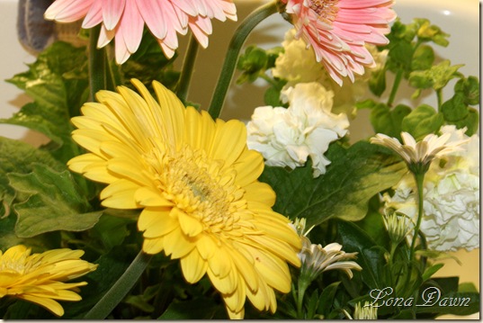 GerberaYellow_Bouquet