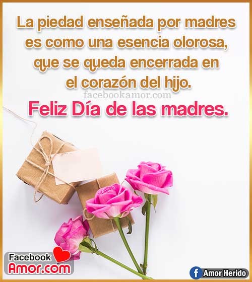 feliz día madre