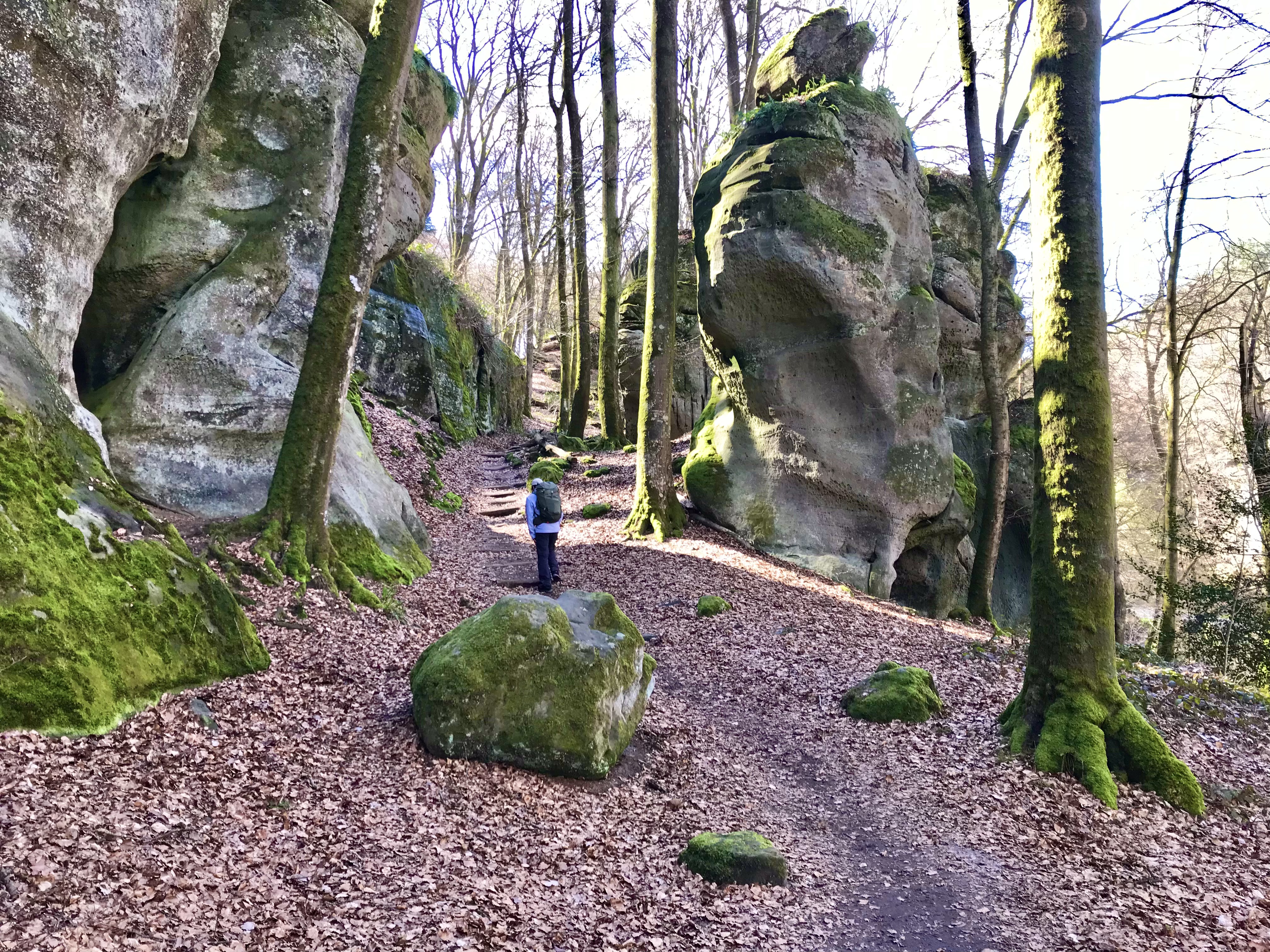 MULLERTHAL TRAIL, ECHTERNACH, BERDORF,  LUXEMBURGO