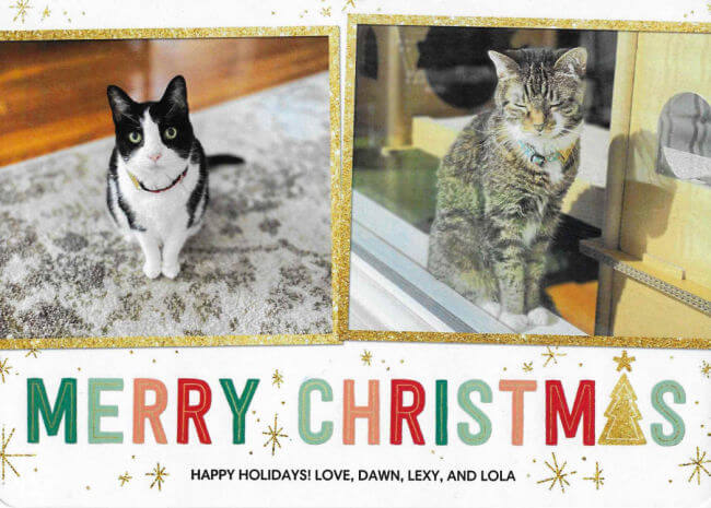 tarjeta navideña con gatos