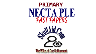 TANZANIA: 2010 NECTA PLE; ALL SUBJECTS