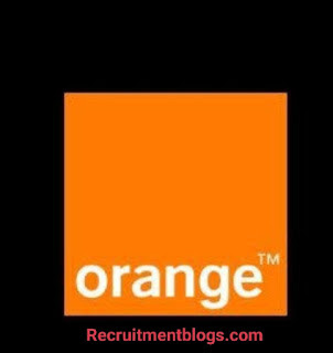 Summer Internship - Employee Programs at Orange Egypt