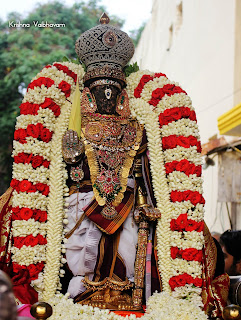 Sri Parthasarathy Perumal, Day 02, Venkata KRishnan,Kodai Utsavam,Purappadu, 2018, Video,Divya Prabhandam,Triplicane,Thiruvallikeni,Utsavam,