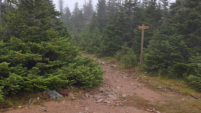 Intersection pour les monts Richardson et Joseph-Fortin