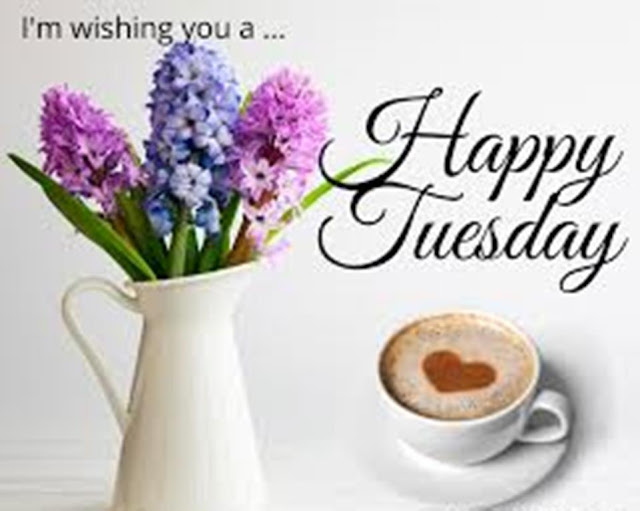 Happy Tuesday Good Morning Images 5