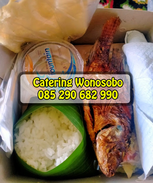 catering di wonosobo nasi box ikan nila