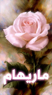 اسم ماريهام مكتوب على صورة خلفية موبايل جميلة تحتوى على وردة.