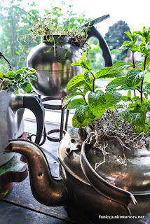 herb garden planted in old kettles via Funky Junk Interiors